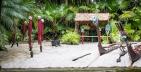 Jungle Cruise at the Magic Kingdom