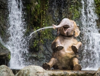 Jungle Cruise at the Magic Kingdom