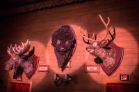 Country Bear Jamboree at the Magic Kingdom