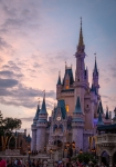 At the Magic Kingdom