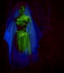 The Haunted Mansion at the Magic Kingdom