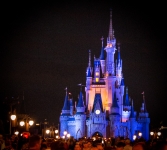 At the Magic Kingdom