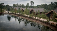 View from our room at Wildnerness Lodge in Disney World