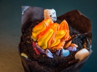 Campfire Cupcake at Wilderness Lodge in Disney World