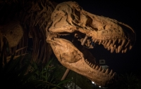 T-Rex Cafe at Disney Springs
