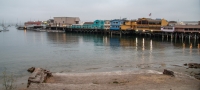 Fisherman's Wharf/Wharf 1 in Monterey, California