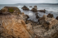 Whalers Cove at Point Lobos in Carmel-By-The-Sea, California