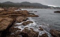 At Point Lobos Natural Reserve in Carmel-By-The-Sea, California