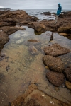 At Point Lobos Natural Reserve in Carmel-By-The-Sea, California
