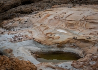 At Point Lobos Natural Reserve in Carmel-By-The-Sea, California