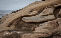At Point Lobos Natural Reserve in Carmel-By-The-Sea, California