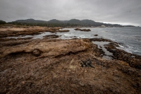 At Point Lobos Natural Reserve in Carmel-By-The-Sea, California