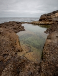 At Point Lobos Natural Reserve in Carmel-By-The-Sea, California