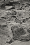 At Point Lobos Natural Reserve in Carmel-By-The-Sea, California