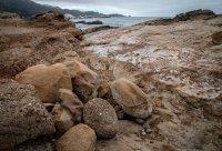 At Point Lobos Natural Reserve in Carmel-By-The-Sea, California