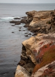 At Point Lobos Natural Reserve in Carmel-By-The-Sea, California