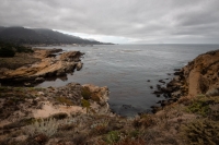 At Point Lobos Natural Reserve in Carmel-By-The-Sea, California