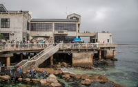 At the Monterey Bay Aquarium