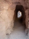 Along the Moses Spring Trail in Pinnacles National Park