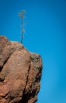 Along the Rim Trail in Pinnacles National Park