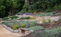AIDS Memorial Grove in Golden Gate Park, San Francisco