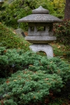 Japanese Tea Garden in Golden Gate Park, San Francisco