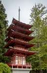 Japanese Tea Garden in Golden Gate Park, San Francisco