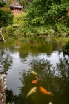 Japanese Tea Garden in Golden Gate Park, San Francisco