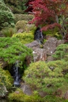 Japanese Tea Garden in Golden Gate Park, San Francisco
