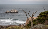 Seal Rocks from Lands End Trail in San Francisco