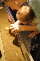Kyle touching a starfish
