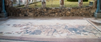 Alexander mosaic