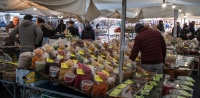 In Campo di Fiori