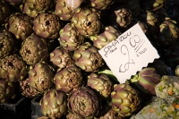 In Campo di Fiori