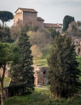 View of the Palatine Hill
