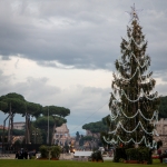 Christmas tree in Piazza Venezia