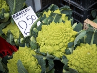 At Trionfale Market