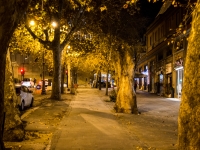 A walk at night