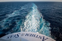 On Anthem of the Seas