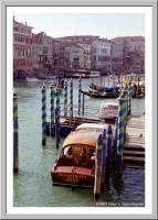 Venice: The Grand Canal