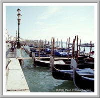 Venice: Gondolas docked along the Riva delgi Schiavoni