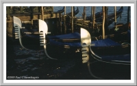 Venice: Gondolas docked along the Venetian Lagoon