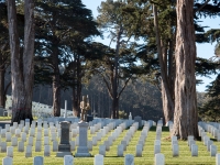 In the Presidio in San Francisco