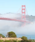 Golden Gate Bridge from in the Presidio in San Francisco
