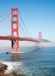 Golden Gate Bridge from in the Presidio in San Francisco