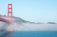 Golden Gate Bridge from in the Presidio in San Francisco