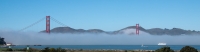 Golden Gate Bridge from in the Presidio in San Francisco