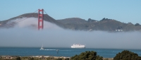 Golden Gate Bridge from in the Presidio in San Francisco