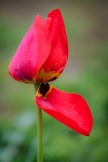 IMG_9668.CR2