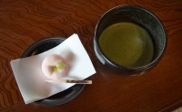 Green Tea at Katsusikaku Yamamoto-Tei in Shibamata in Tokyo
